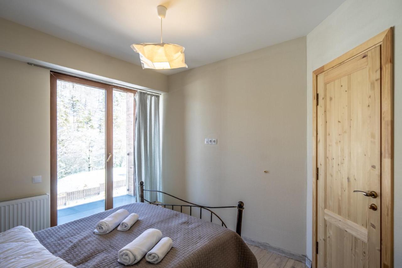 Didveli Valley Bakuriani Exterior photo